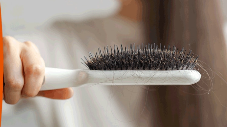 hair-loss-women-anaphase